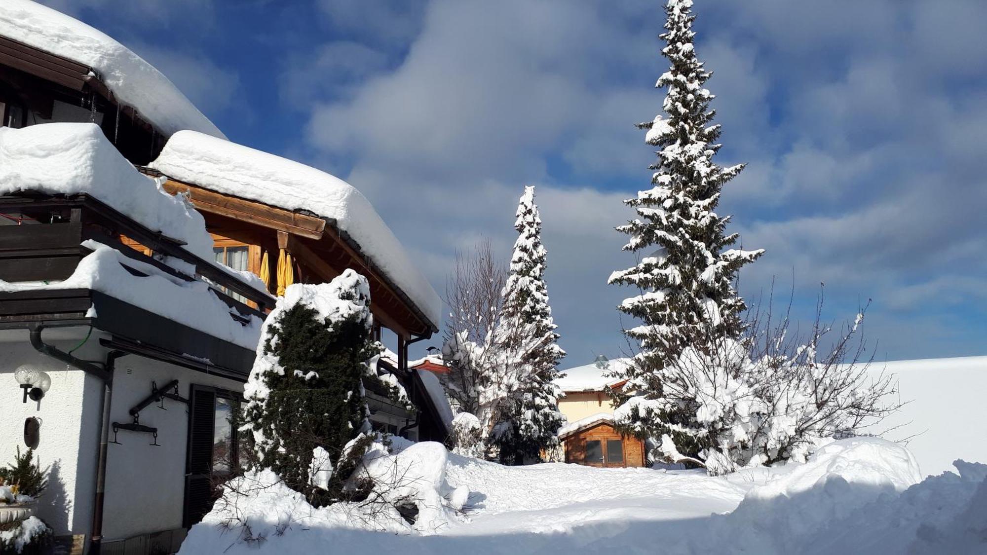 Hotel - Pension - Heidelberg Inkl. Chiemgaukarte Ruhpolding Luaran gambar